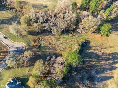 20 Fox Trot Cove, Haughton, LA 71037 - photo 7