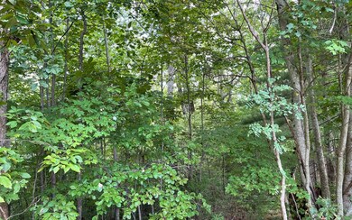 LOT 20 Enchanted Ridge, Hayesville, NC 28904 - photo 6