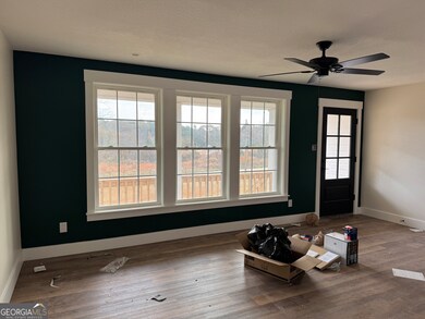 811 Chandlers Ferry Rd, Hartwell, GA 30643 - photo 6