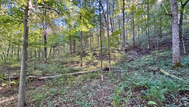 5139 Peggy Hollow Rd, Shoals, IN 47581 - photo 6