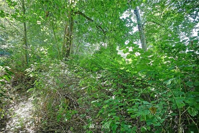 0 XXX 94th Dr, Stanwood, WA 98292 - photo 7