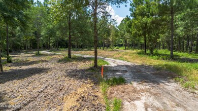 0 W Mchenry Rd, McHenry, MS 39561 - photo 5