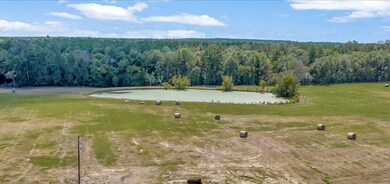 80803 Tract 28 Fm 233, Kennard, TX 75847 - photo 6