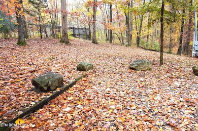 3860 Collier Loop, Dandridge, TN 37725 - photo 6