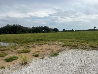 46310 Neal Rd, Punta Gorda, FL 33983 - photo 6