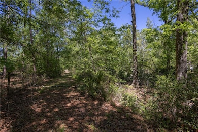 0 NE 108th Ave unit MFRGC522398, Waldo, FL 32694 - photo 2