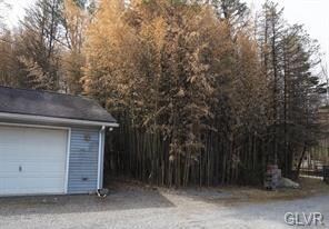 41 Archery Club Rd, New Ringgold, PA 17960 - photo 3