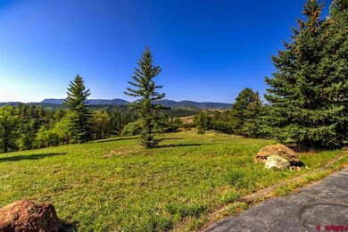 2613 Running Horse Place, Pagosa Springs, CO 81147 - photo 7
