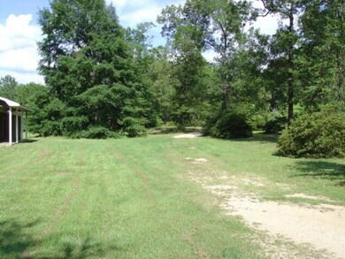 Front Yard.