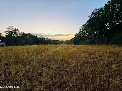 0 Cooks Corner Rd, Lucedale, MS 39452 - photo 2