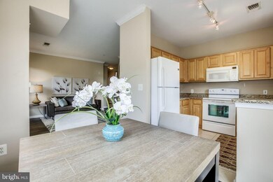 4551 Strutfield Ln unit 4205, Alexandria, VA 22311 - photo 7