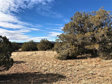 5354 N Forest Line Rd, Ash Fork, AZ 86320 - photo 4