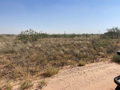 Lot 5E W County Road 149 unit Lot 5, Midland, TX 79706 - photo 4