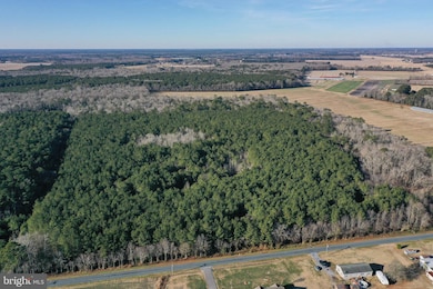 0 Bent Pine Rd unit MDWC2020984, Willards, MD 21874 - photo 4