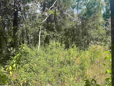 Wooded Area