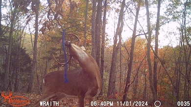 9 Coon Hollow Rd, Blue Creek, OH 45616 - photo 6