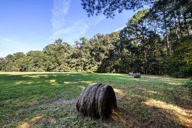 HFL_PLOW GROUND RD_30 ACRES-2