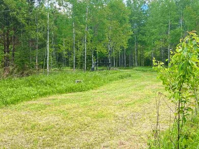 0 Byers Rd, Deerbrook, WI 54424 - photo 4