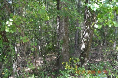 310 Wright Rd, Phenix City, AL 36869 - photo 5