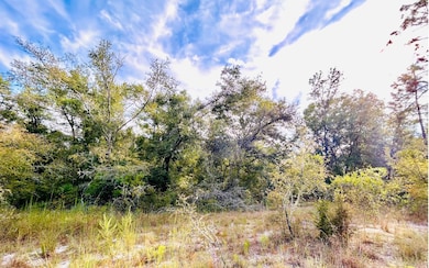 TBD Suw Park Lots 18-22, Live Oak, FL 32060 - photo 5