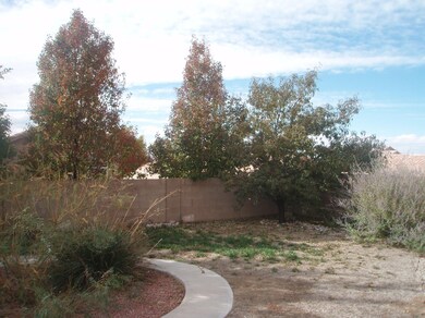 BACK YARD1