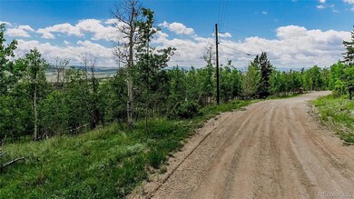 1047 Lumberjack Rd unit 172, Fairplay, CO 80440 - photo 4