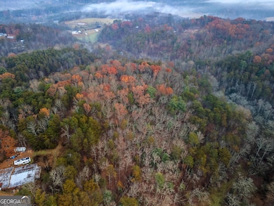 260 Fain St, Morganton, GA 30560 - photo 4