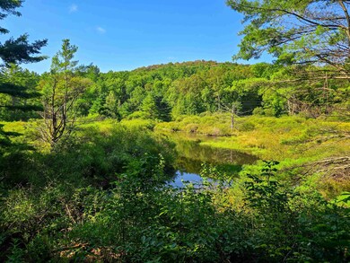 2309 Sherman Hollow Rd, Huntington, VT 05462 - photo 7