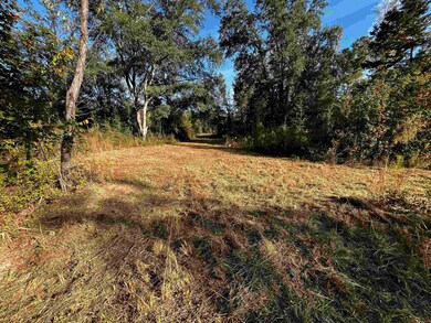 0 Fla-Ga Hwy unit 357705, Havana, FL 32333 - photo 2