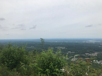 IMG_2019