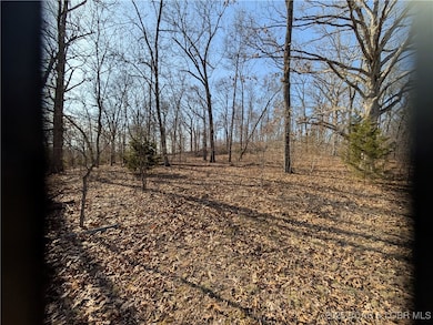 Walking view at the top - partially cleared
