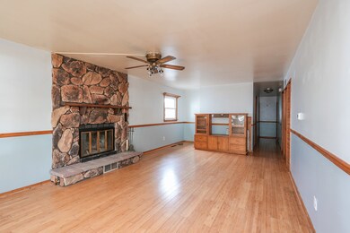 272 N Randolph Ave, Bradley, IL 60915 - photo 3