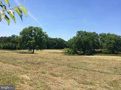 0 Buffalo Marsh Rd unit 1001322905, Middletown, VA 22645 - photo 5