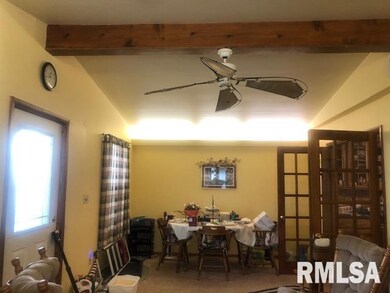 115 Carter Ln, Lincoln, IL 62656 - photo 4