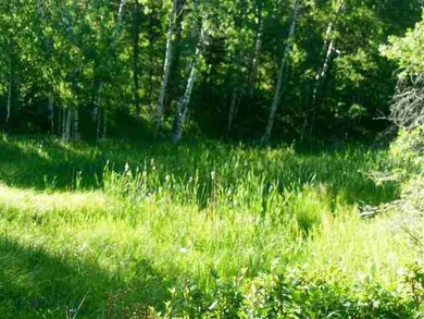 Seasonal water with occasional moose and elk visit