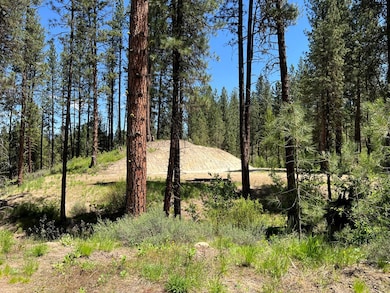 Building Pad Surrounded By Timber