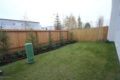 Back Yard 2