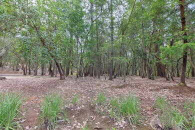 7-web-or-mls-182-dearing-wy