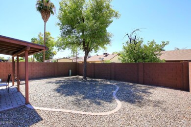 Backyard2 (2)