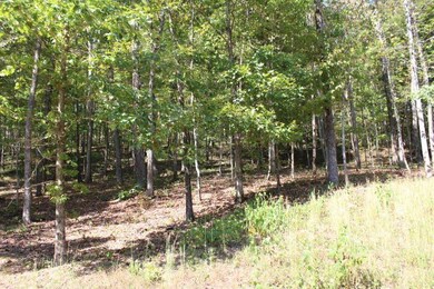 19 Haynes Knob Rd, Somerset, KY 42501 - photo 5