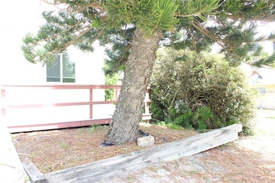 1215 N Atlantic Ave, New Smyrna Beach, FL 32169 - photo 2