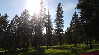 168 Torto Loop, Kila, MT 59920 - photo 3