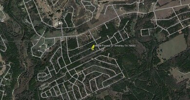 18068 Forrest Dr, Whitney, TX 76692 - photo 5