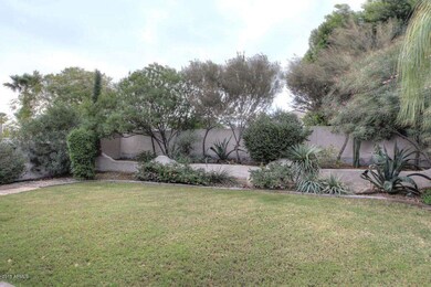 Lush Grass and Trees