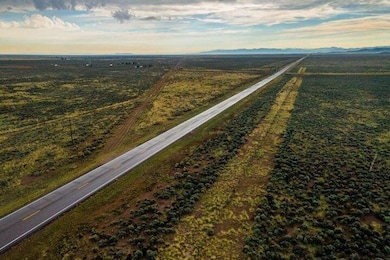 004. 31.22 Acres