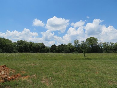 755 Mill Rd, Lebanon, TN 37090 - photo 5