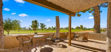 Back Patio2