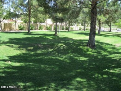 Grounds