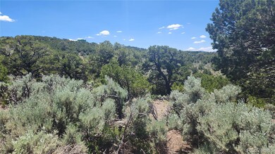 4532 Villa Rd, Fort Garland, CO 81133 - photo 6