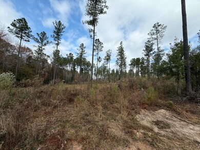 0 Cr 472 unit 37260, Meridian, MS 39301 - photo 6
